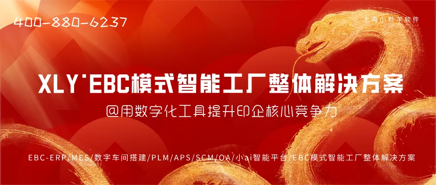 2024，以创新为引擎，稳步向前！2025，以梦想为指引，再攀高峰！--上海小羚羊软件2024年度大事记！